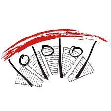 Dachverband Schweizer Jugendparlamente